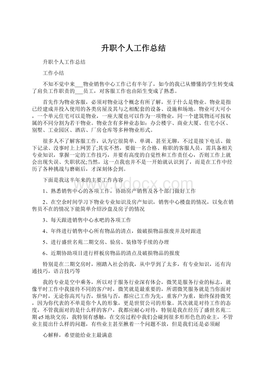 升职个人工作总结文档格式.docx