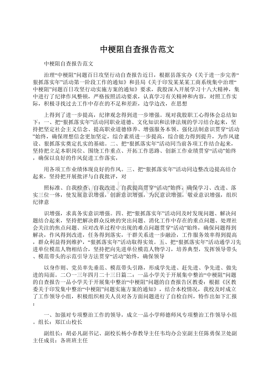 中梗阻自查报告范文.docx_第1页