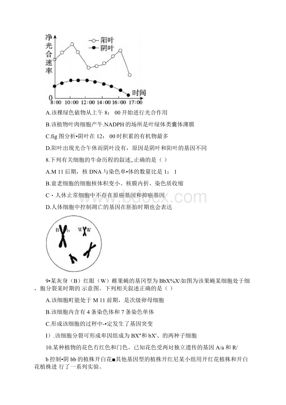 非凡吉创学年上学期高三年级模拟调研考试生物试题含答案和解析Word文档格式.docx_第3页