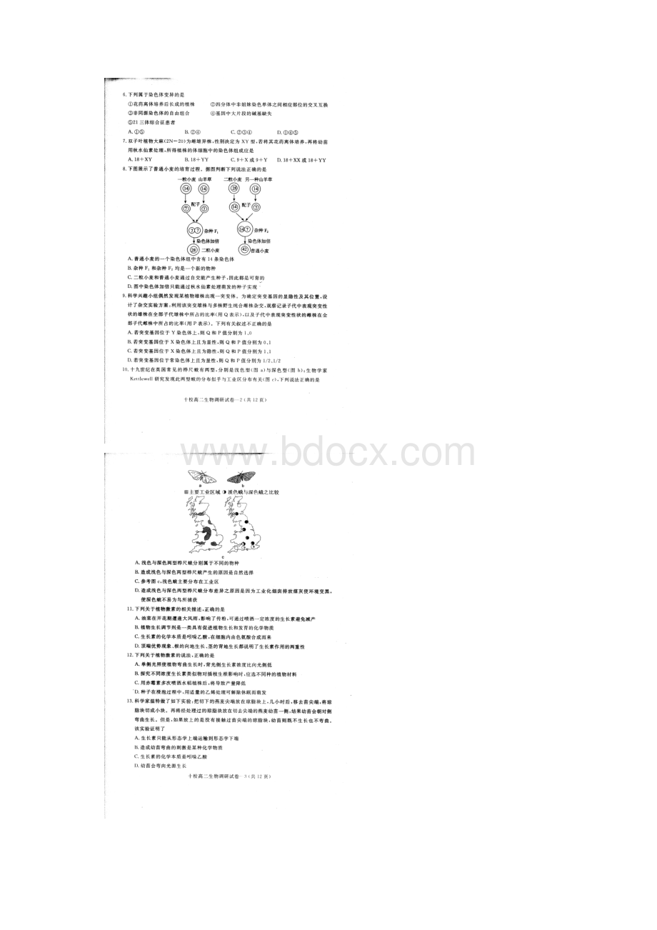 浙江省金华十校学年高二生物下学期期末考试试题Word格式文档下载.docx_第2页