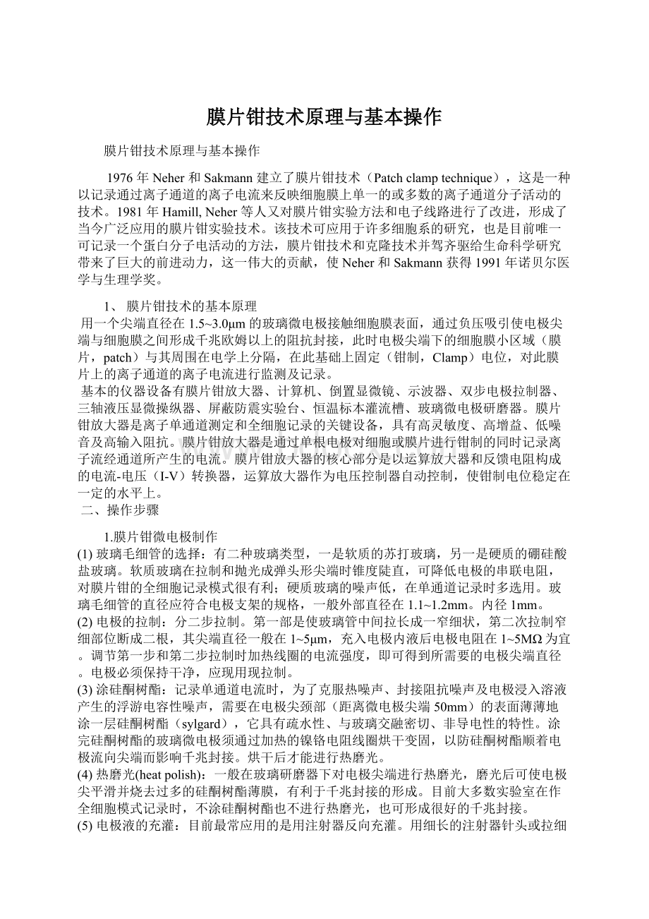 膜片钳技术原理与基本操作.docx