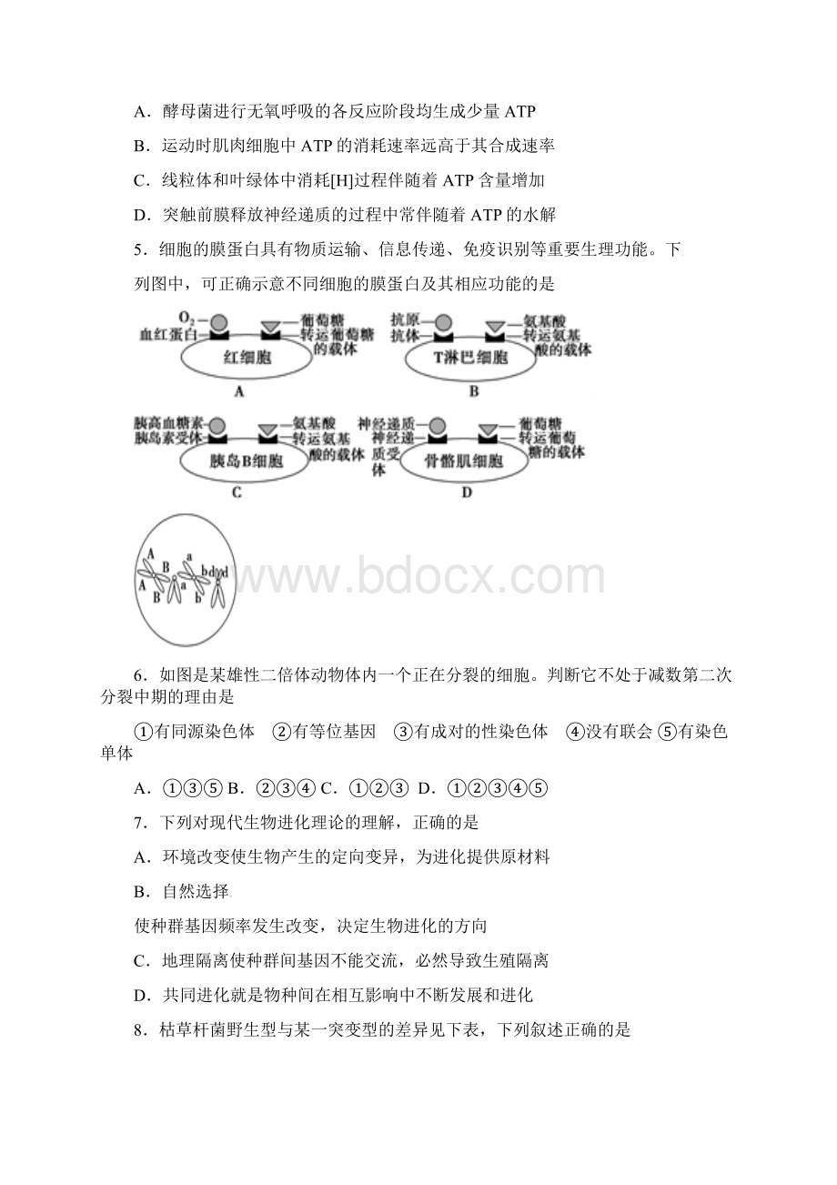 潍坊一中届高三新高考生物学科考前模拟试题一含答案.docx_第2页