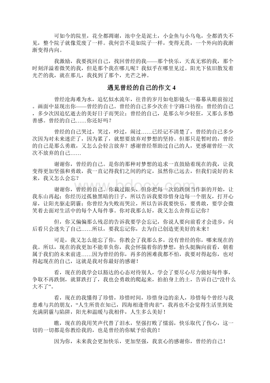 遇见曾经的自己的作文文档格式.docx_第3页