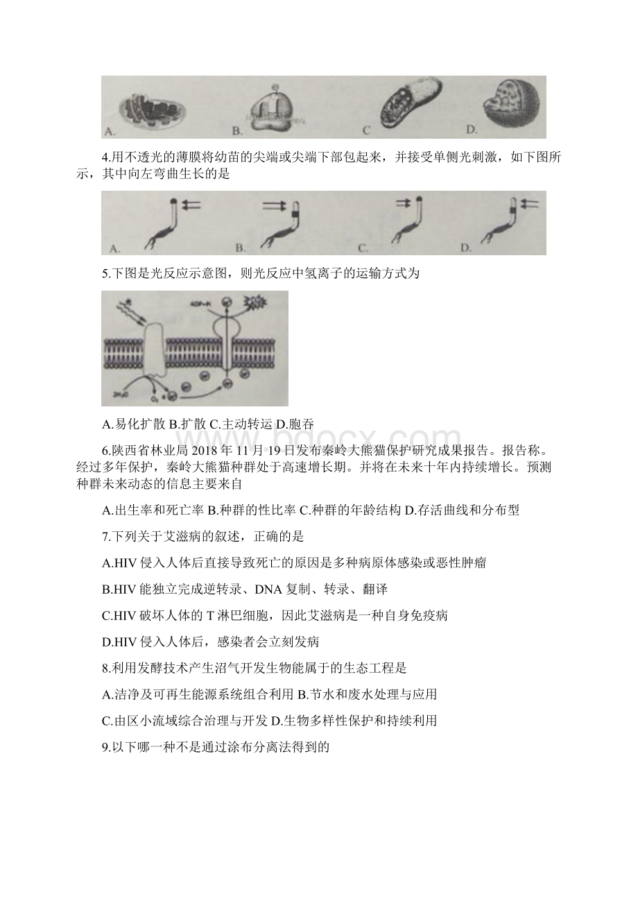 浙江省届高三生物适应性考试试题2Word下载.docx_第2页