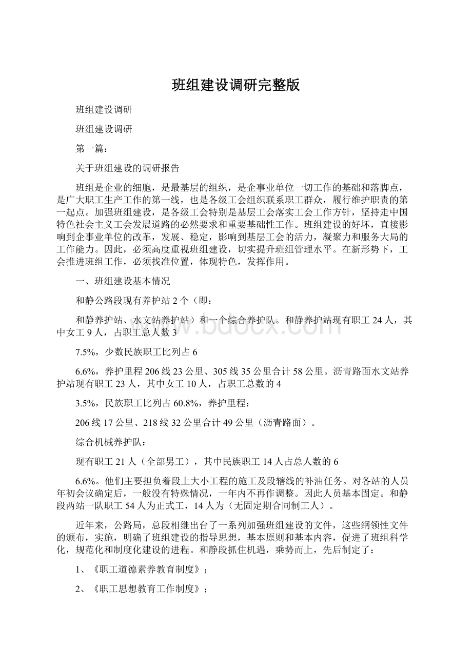 班组建设调研完整版文档格式.docx