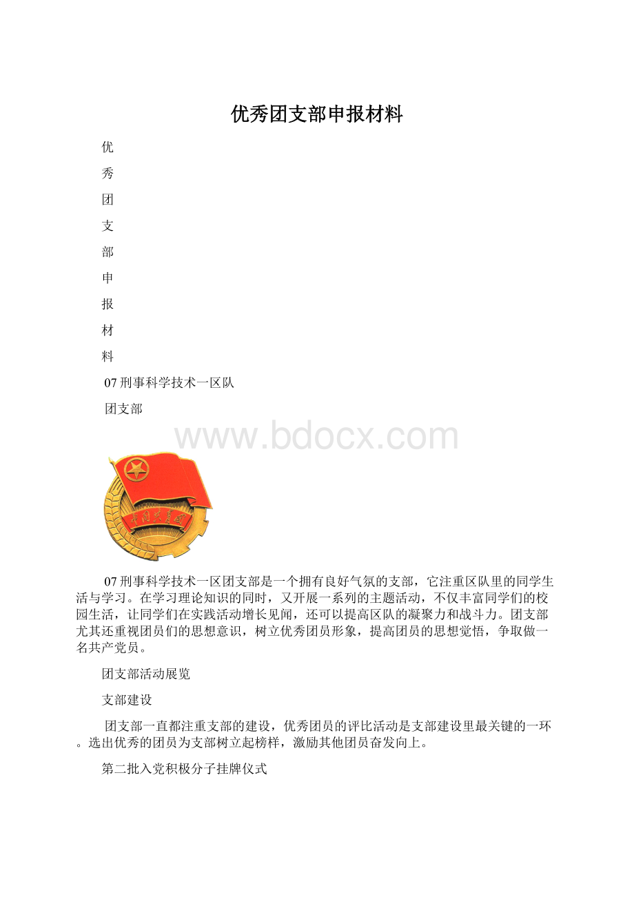 优秀团支部申报材料.docx