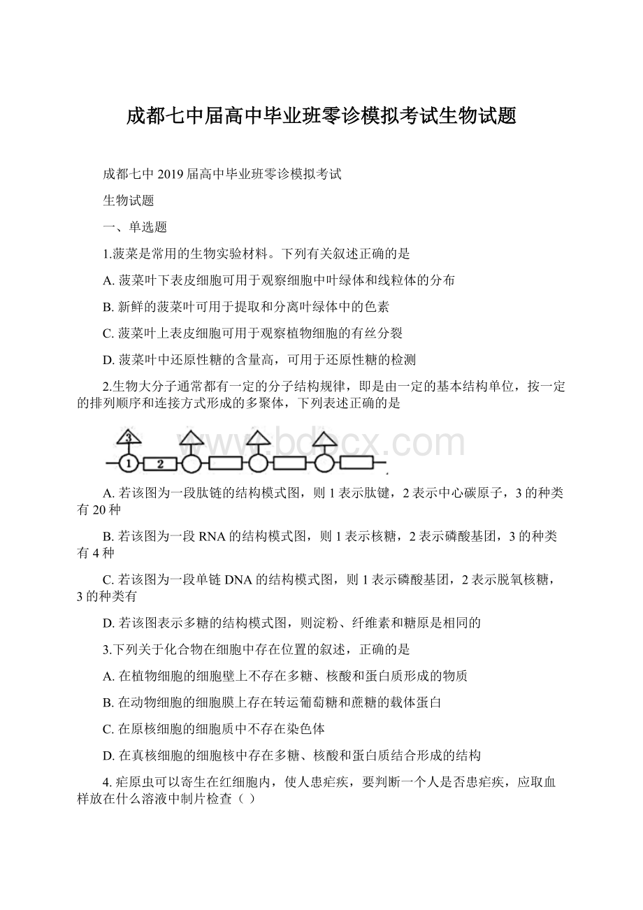 成都七中届高中毕业班零诊模拟考试生物试题.docx