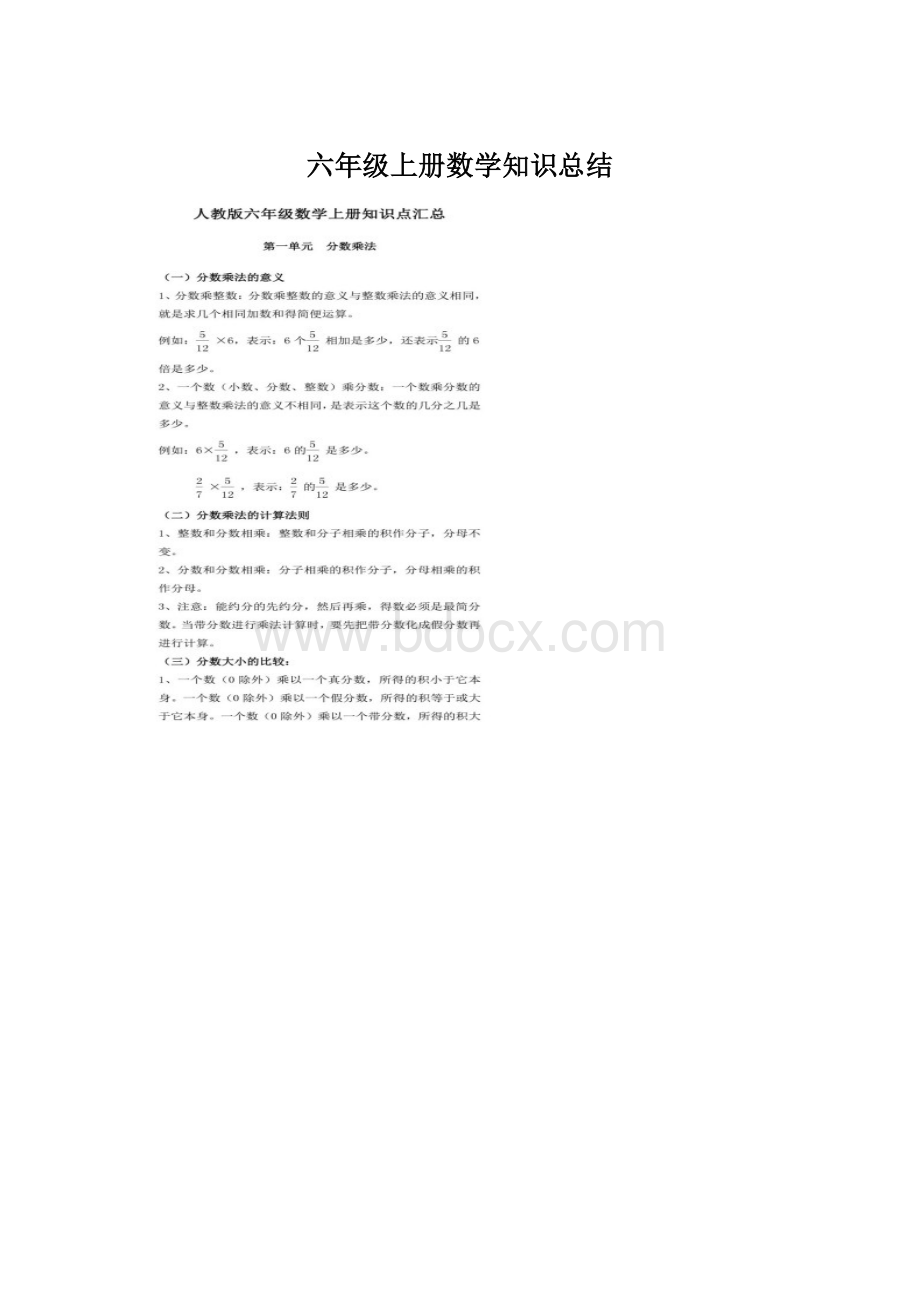 六年级上册数学知识总结.docx