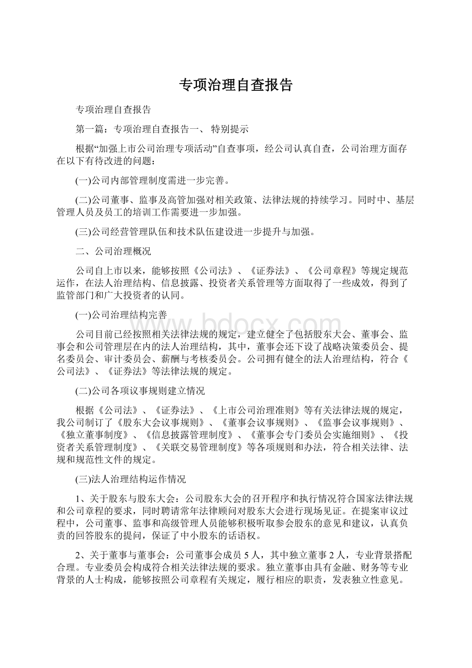 专项治理自查报告Word格式文档下载.docx