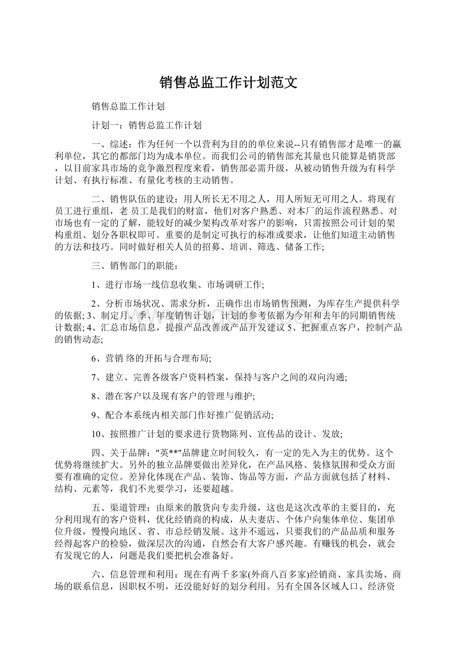 销售总监工作计划范文.docx_第1页