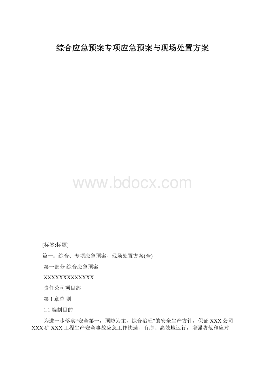 综合应急预案专项应急预案与现场处置方案.docx_第1页