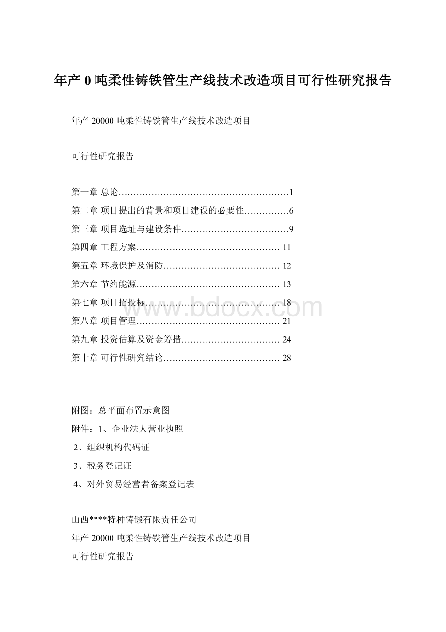 年产 0 吨柔性铸铁管生产线技术改造项目可行性研究报告.docx