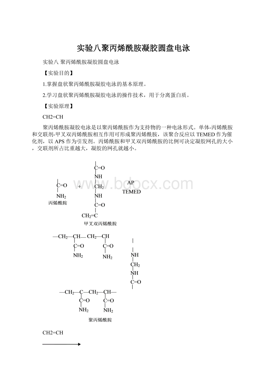 实验八聚丙烯酰胺凝胶圆盘电泳.docx_第1页