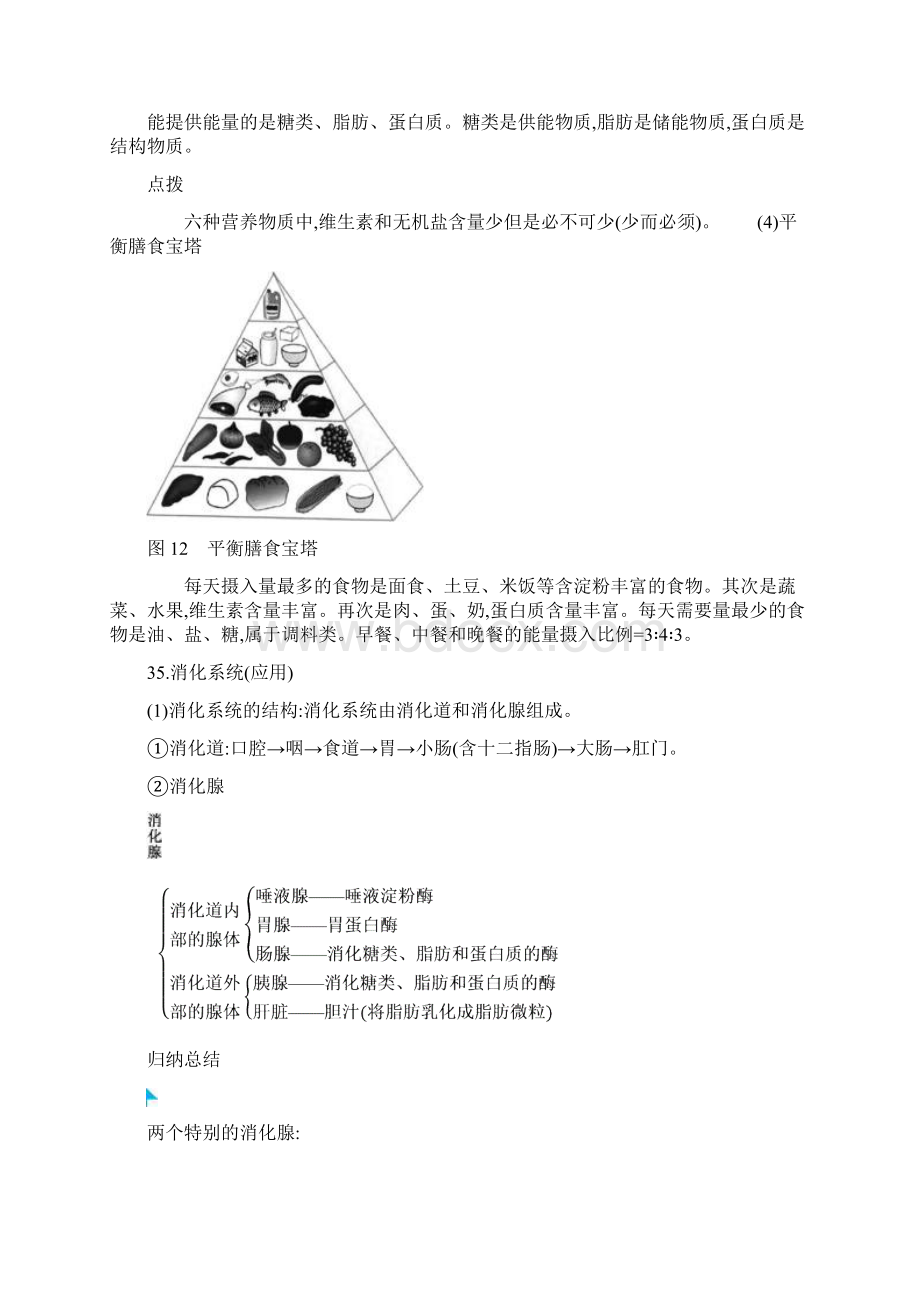 第四单元生物Word文档下载推荐.docx_第3页