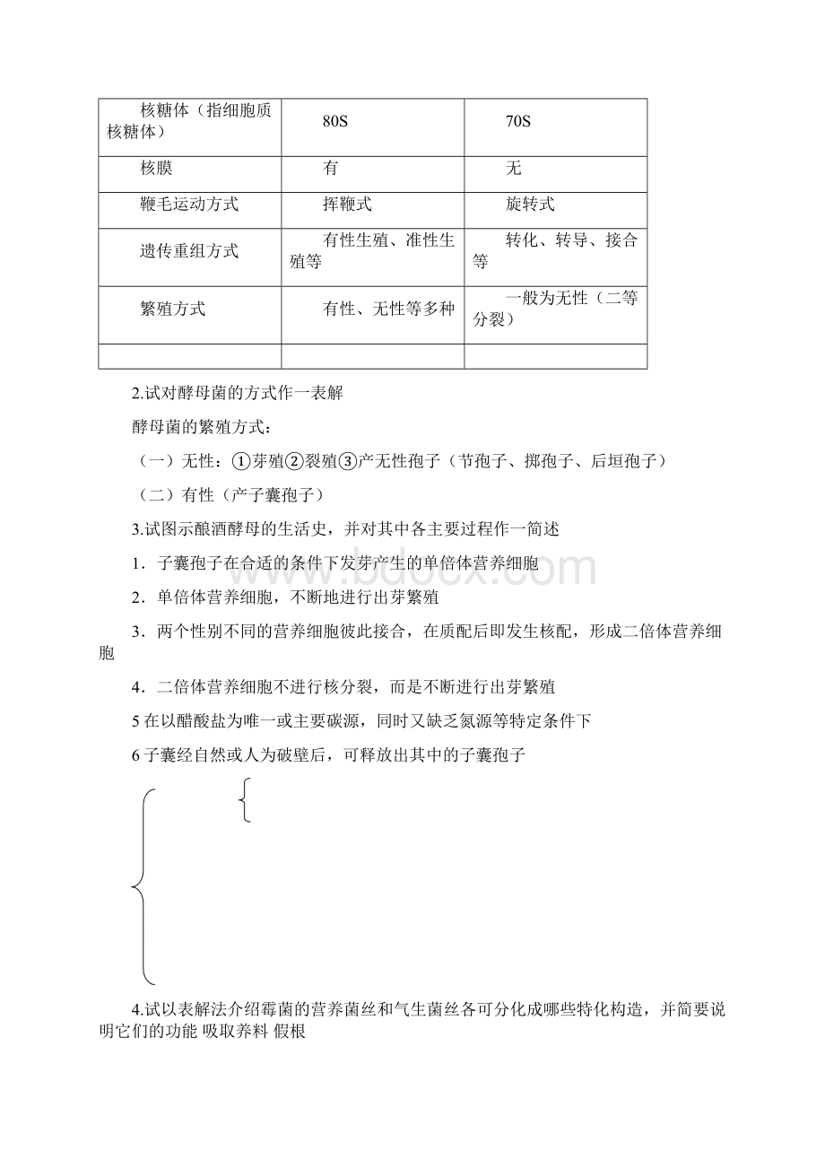 微生物解答终审稿Word文件下载.docx_第2页