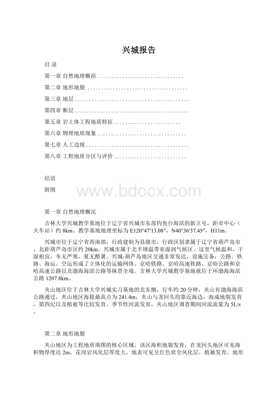 兴城报告.docx_第1页