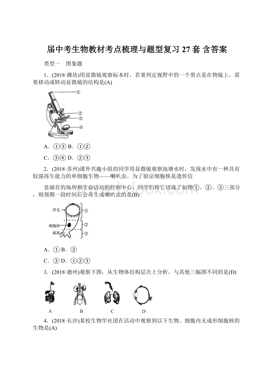 届中考生物教材考点梳理与题型复习27套 含答案Word下载.docx