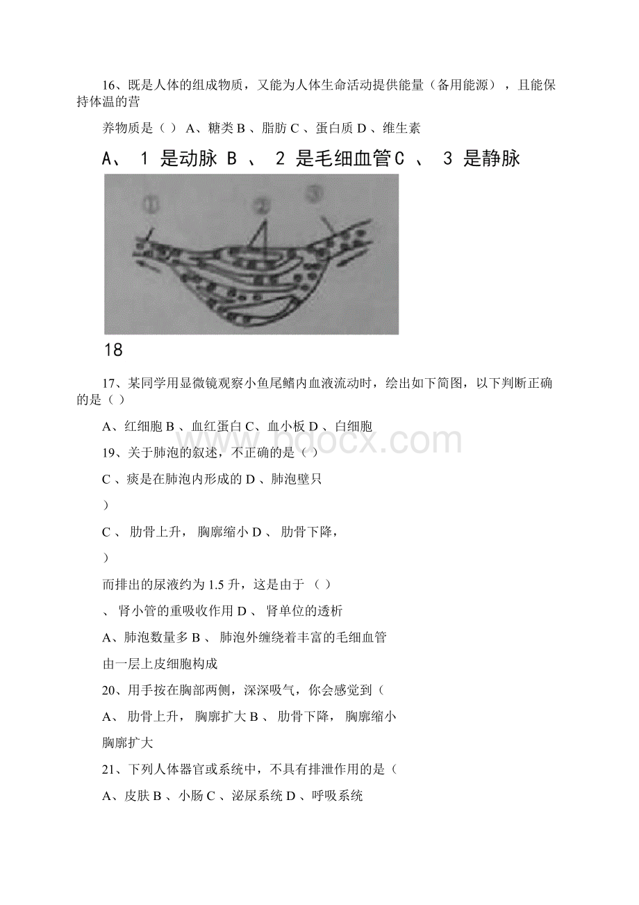 云南省中考生物真题试题含答案.docx_第3页