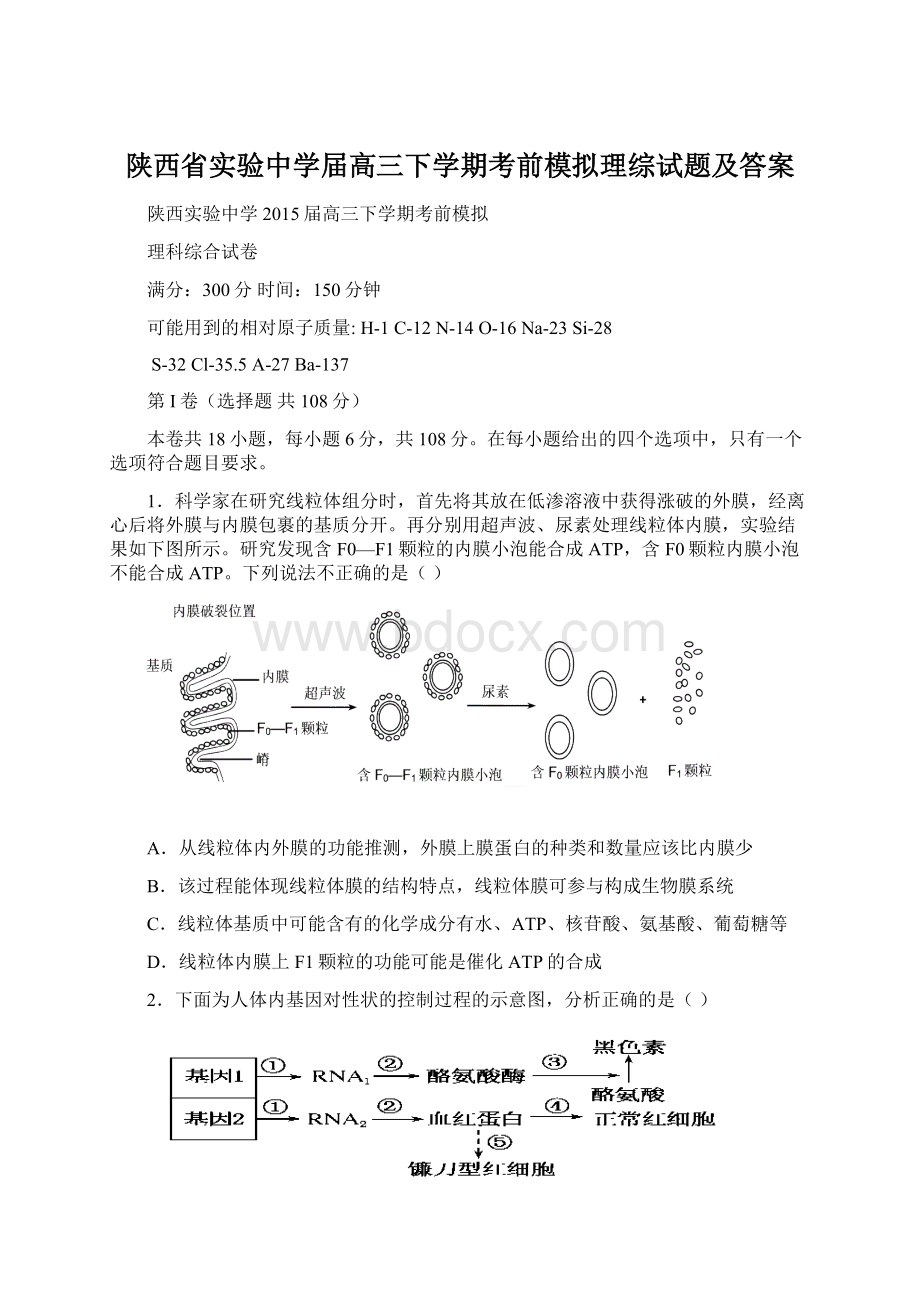 陕西省实验中学届高三下学期考前模拟理综试题及答案.docx