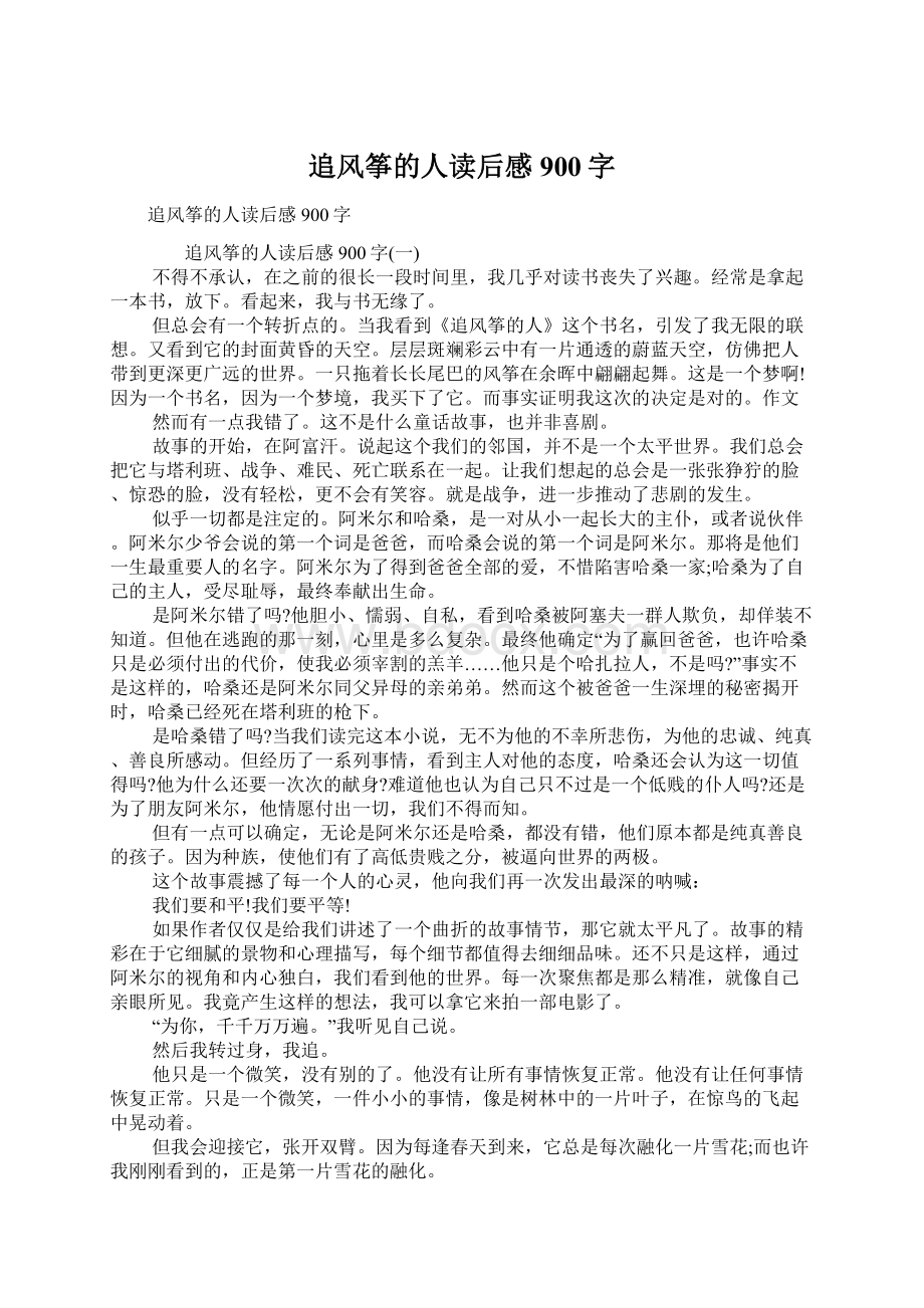 追风筝的人读后感900字Word文件下载.docx