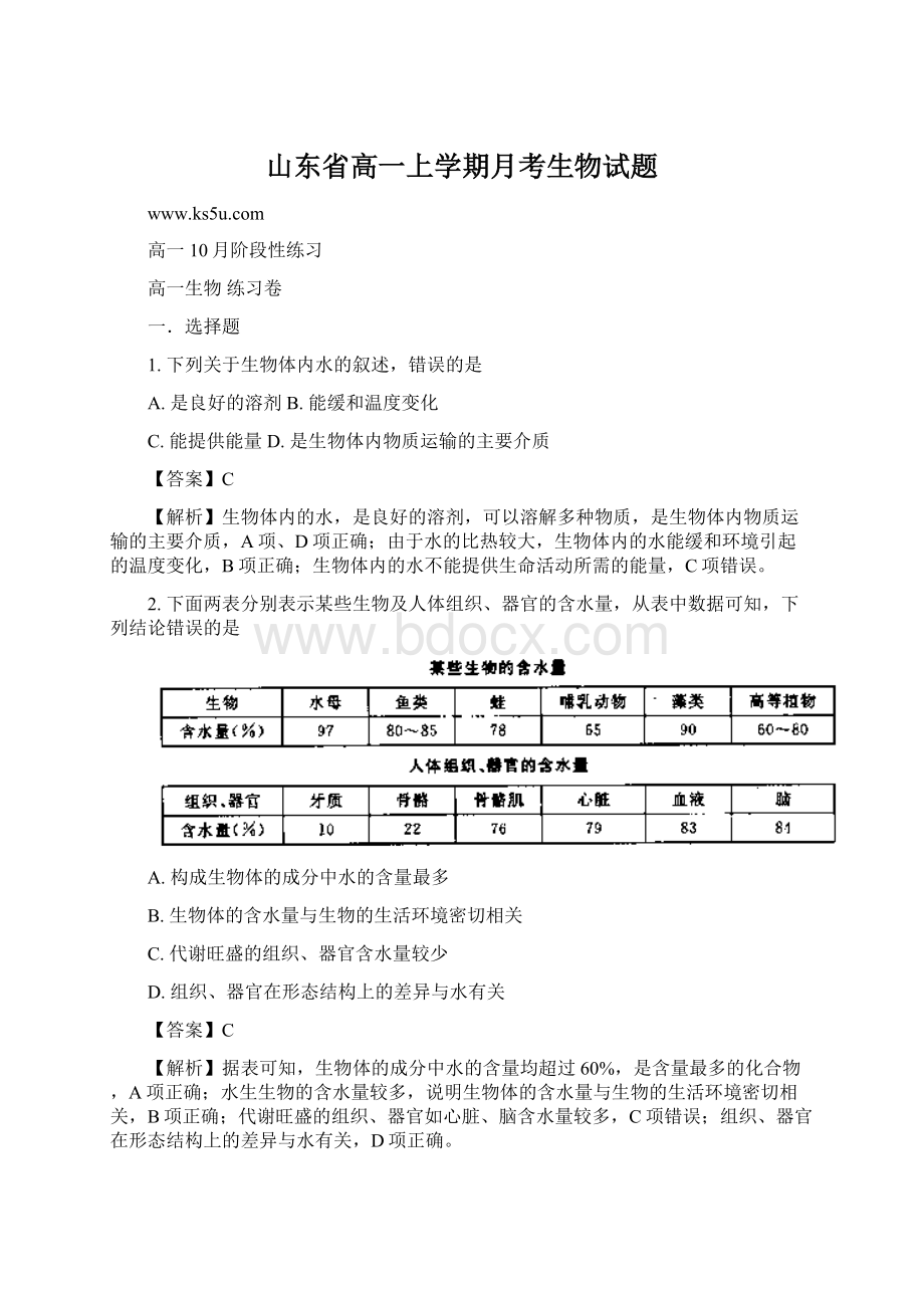 山东省高一上学期月考生物试题.docx