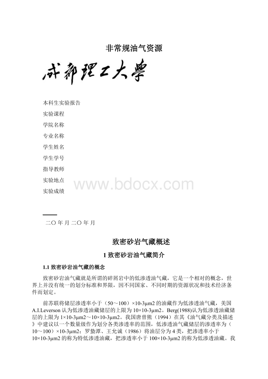 非常规油气资源Word下载.docx