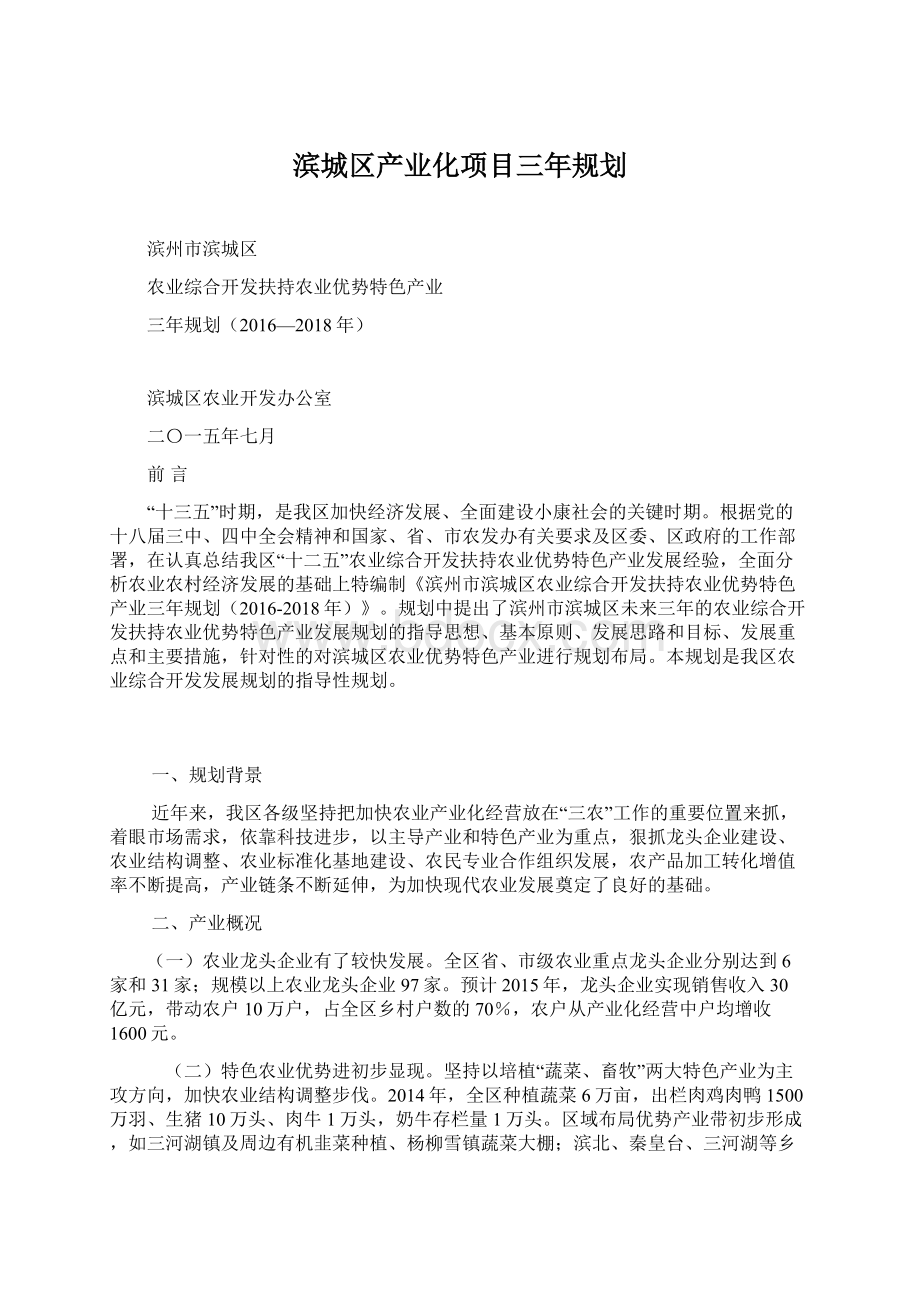 滨城区产业化项目三年规划文档格式.docx