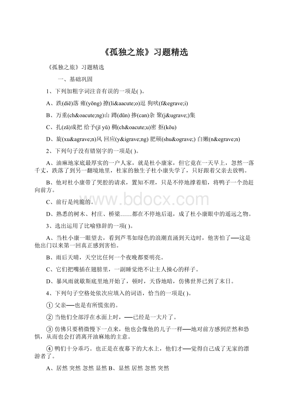 《孤独之旅》习题精选Word文档下载推荐.docx_第1页