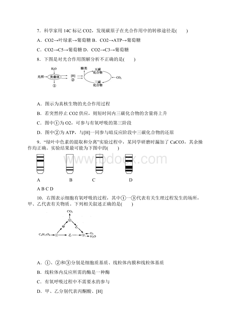 江苏省沭阳县修远中学学年高一生物月考试题实验班Word下载.docx_第2页