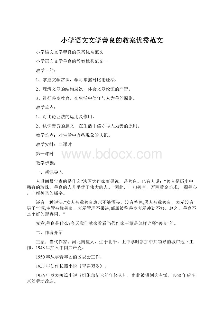 小学语文文学善良的教案优秀范文.docx