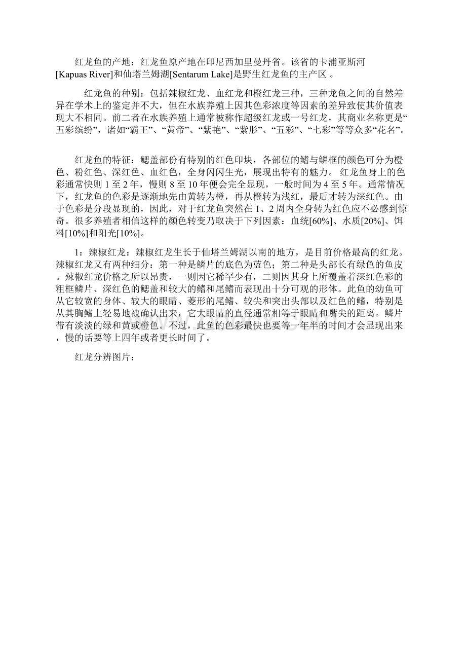 龙鱼品系概述Word文档格式.docx_第2页