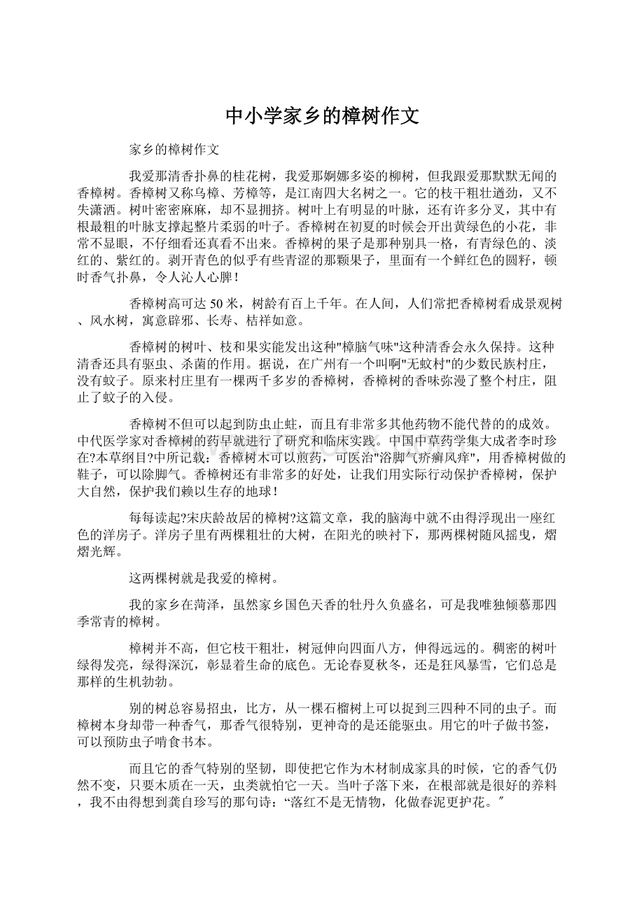 中小学家乡的樟树作文Word格式文档下载.docx_第1页