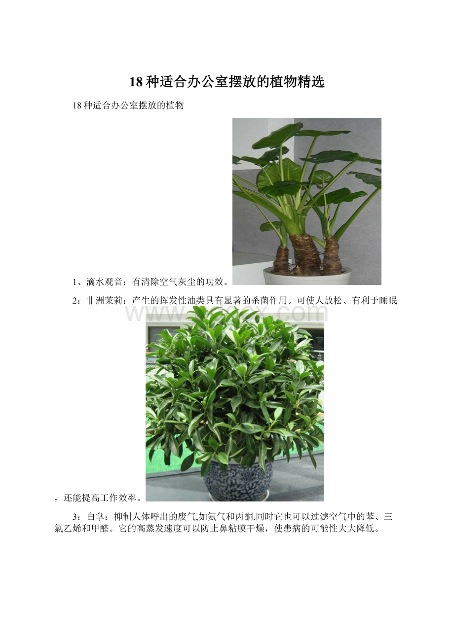 18种适合办公室摆放的植物精选Word下载.docx_第1页