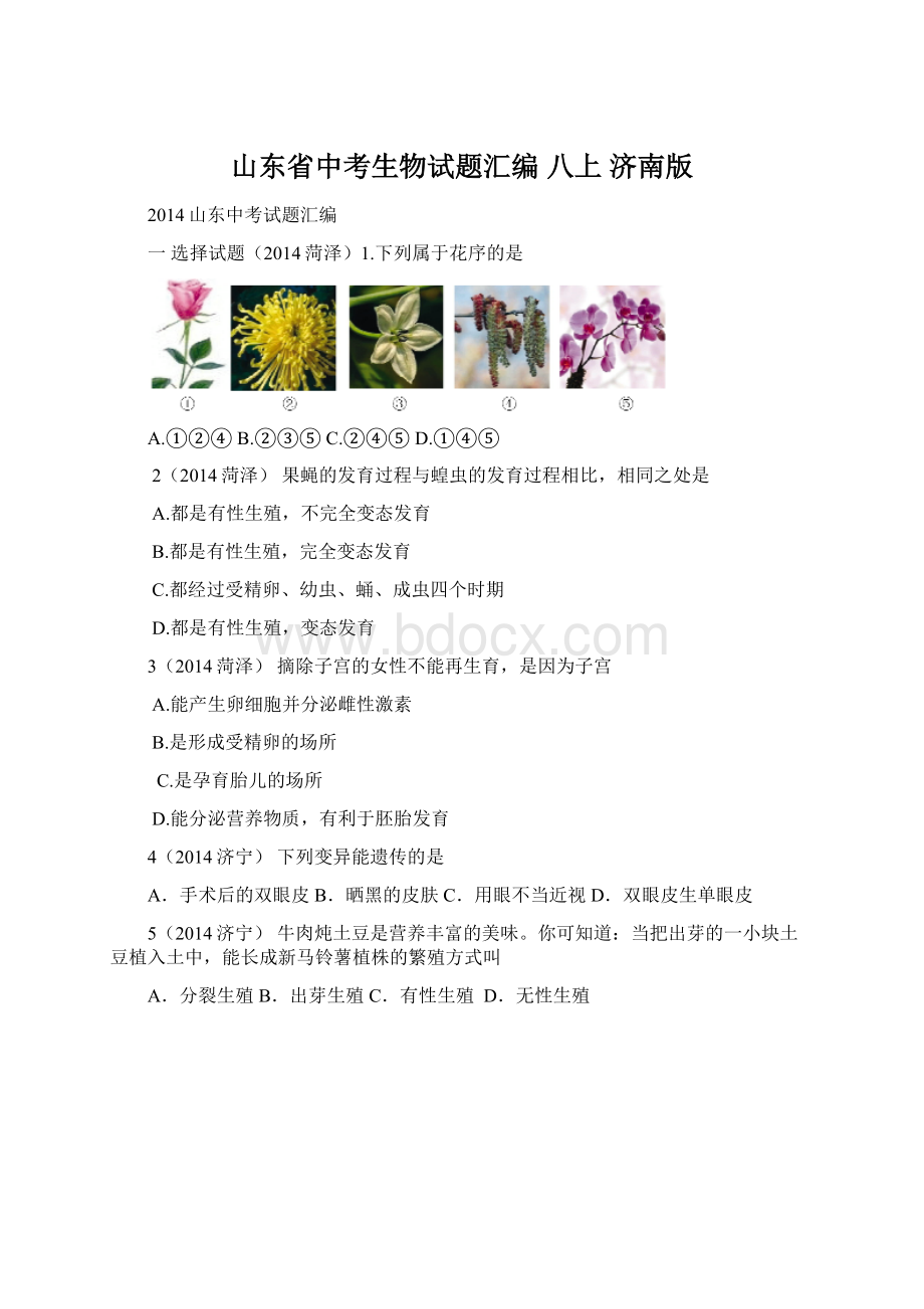 山东省中考生物试题汇编 八上 济南版Word格式文档下载.docx