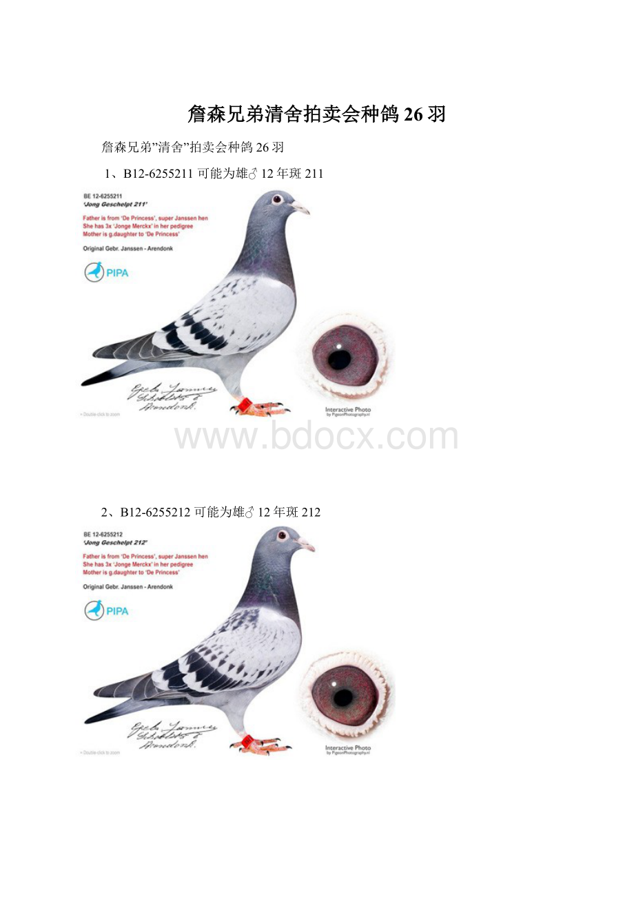 詹森兄弟清舍拍卖会种鸽26羽Word文件下载.docx