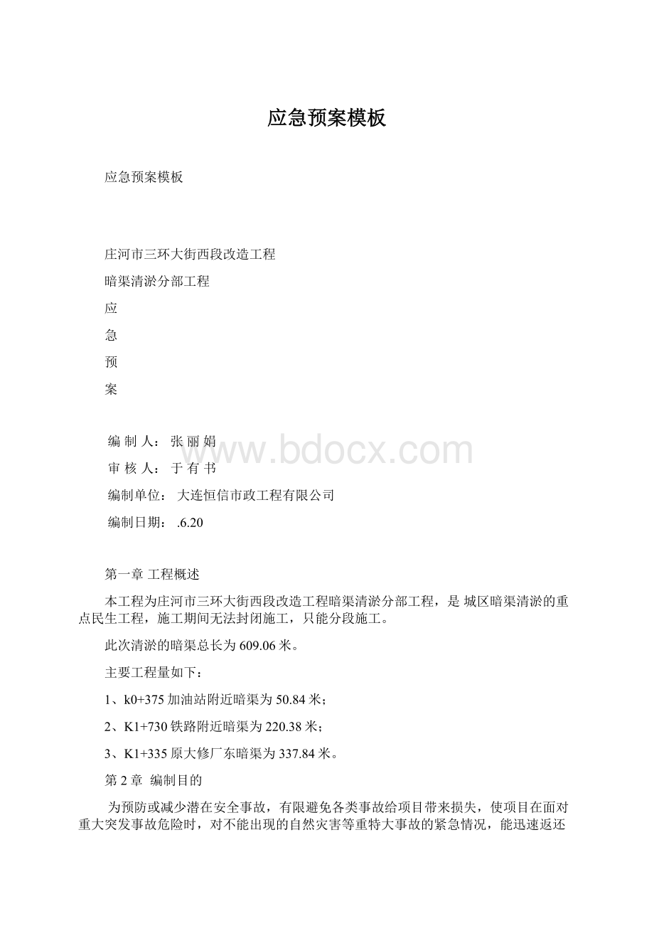 应急预案模板Word文档格式.docx