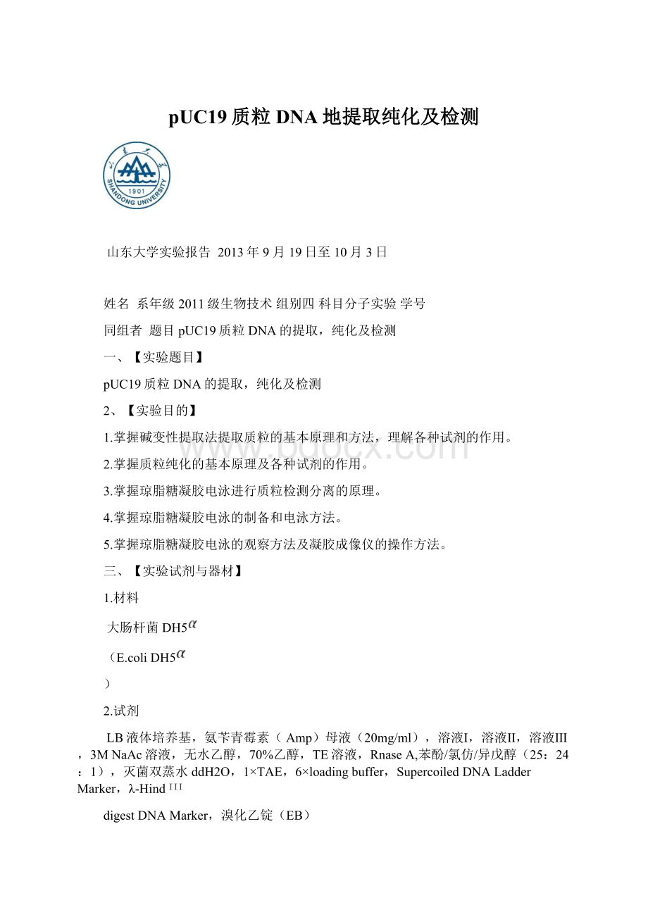 pUC19质粒DNA地提取纯化及检测Word格式.docx