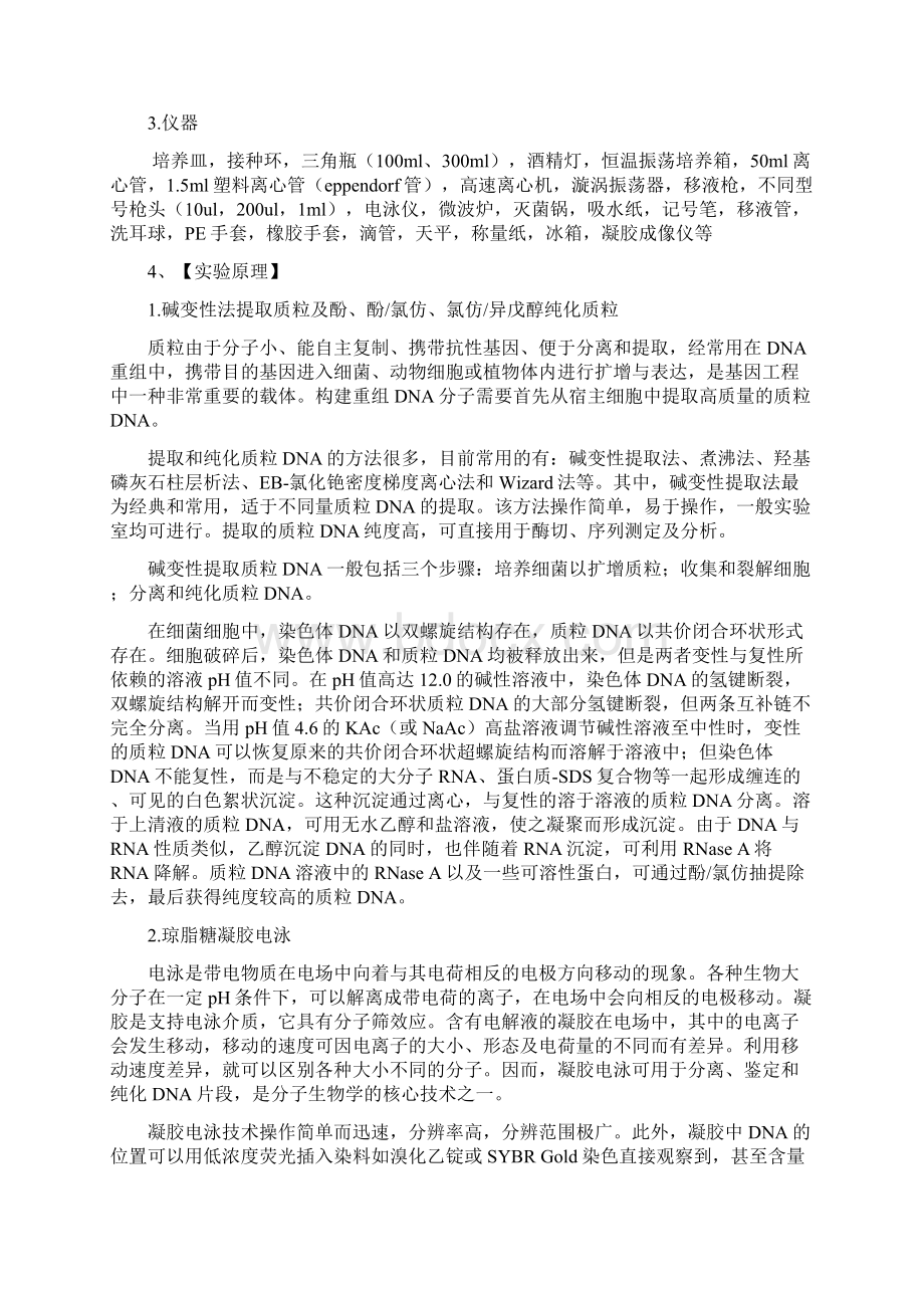 pUC19质粒DNA地提取纯化及检测.docx_第2页