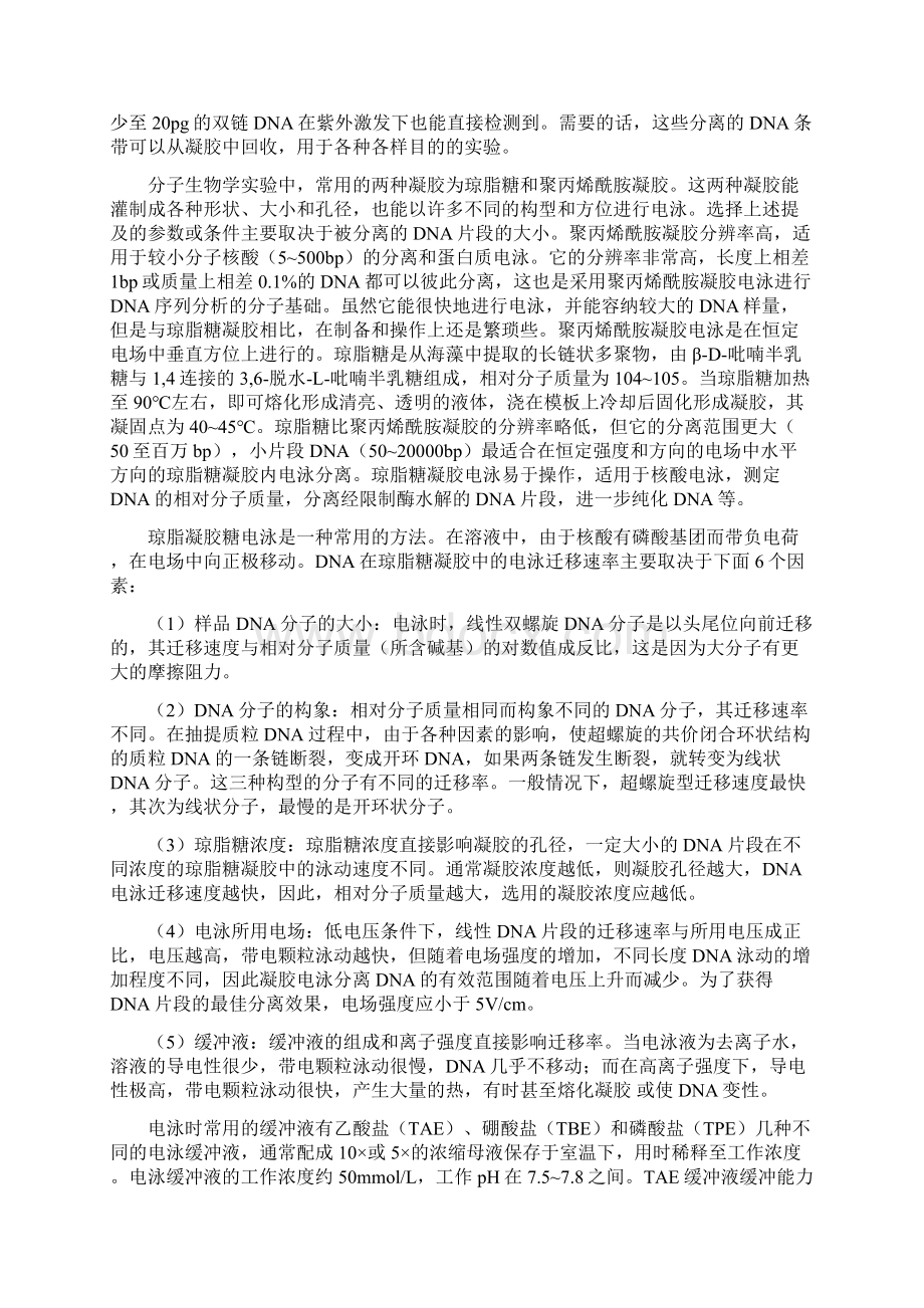 pUC19质粒DNA地提取纯化及检测Word格式.docx_第3页