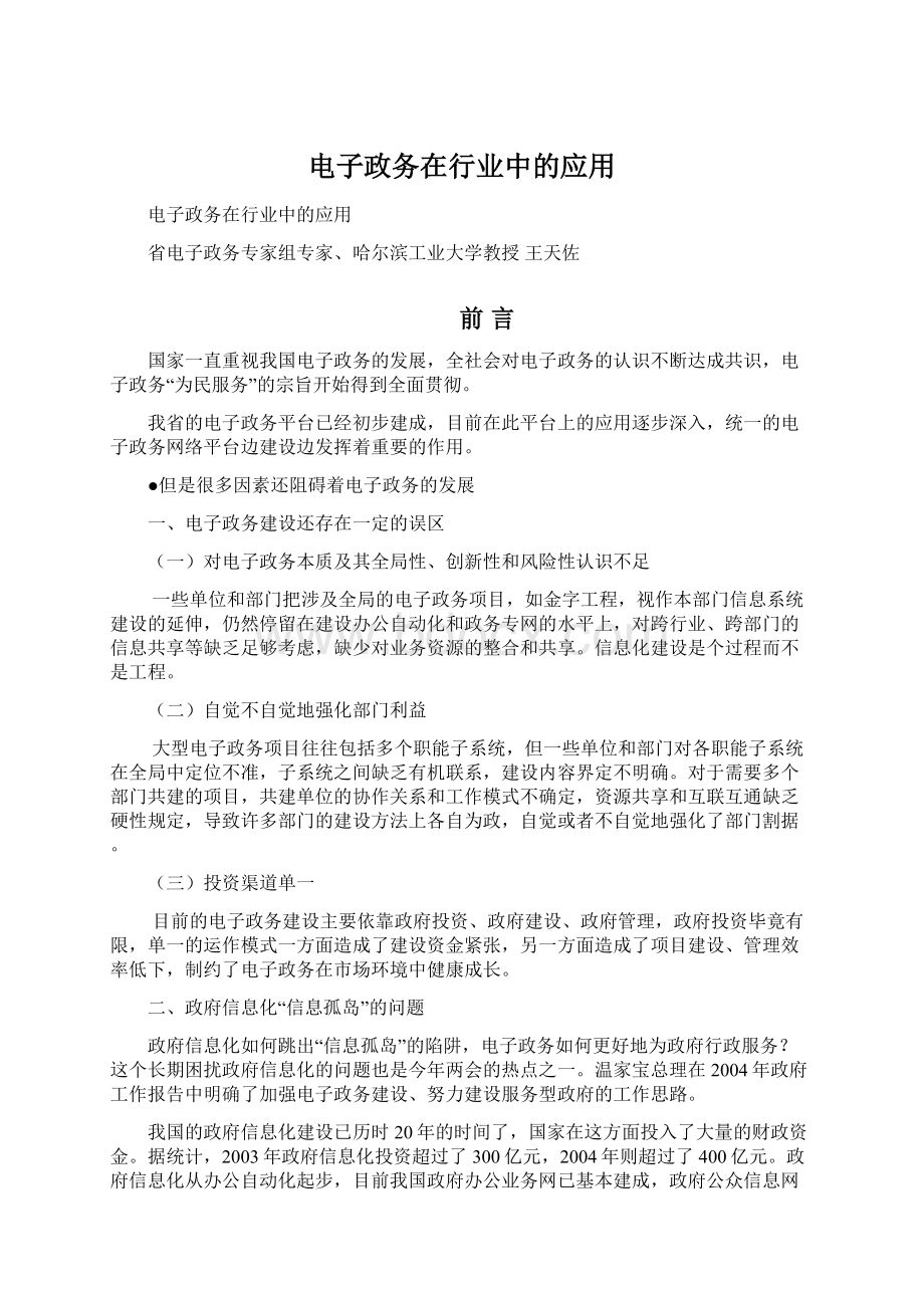 电子政务在行业中的应用文档格式.docx