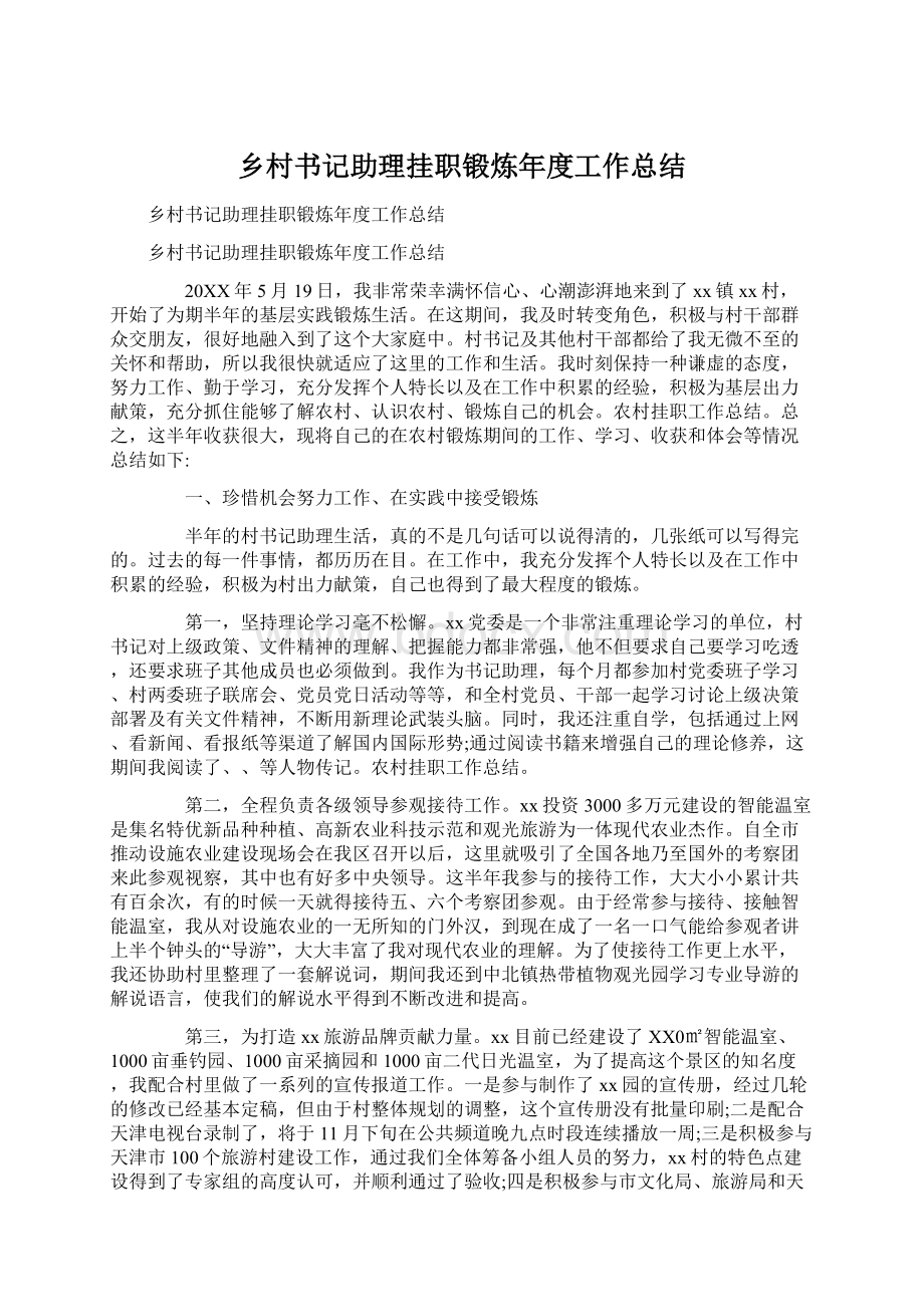 乡村书记助理挂职锻炼年度工作总结文档格式.docx