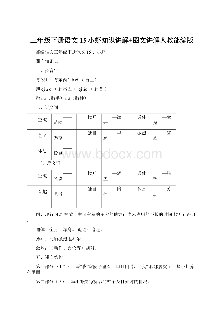 三年级下册语文15小虾知识讲解+图文讲解人教部编版Word文档格式.docx