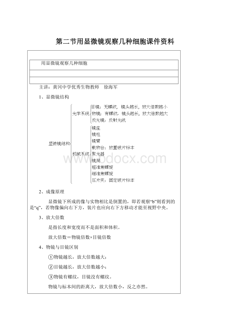 第二节用显微镜观察几种细胞课件资料Word文件下载.docx