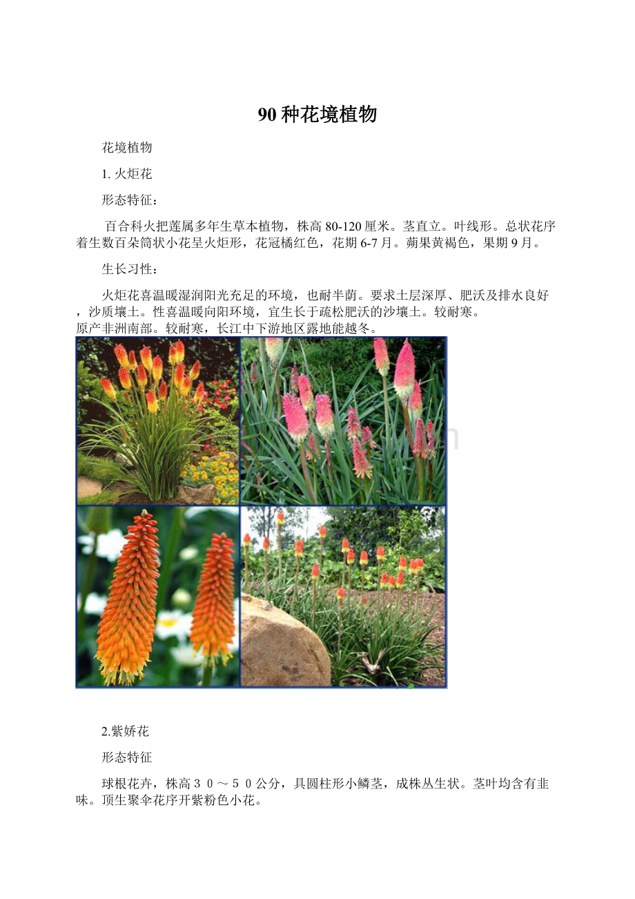 90种花境植物.docx_第1页