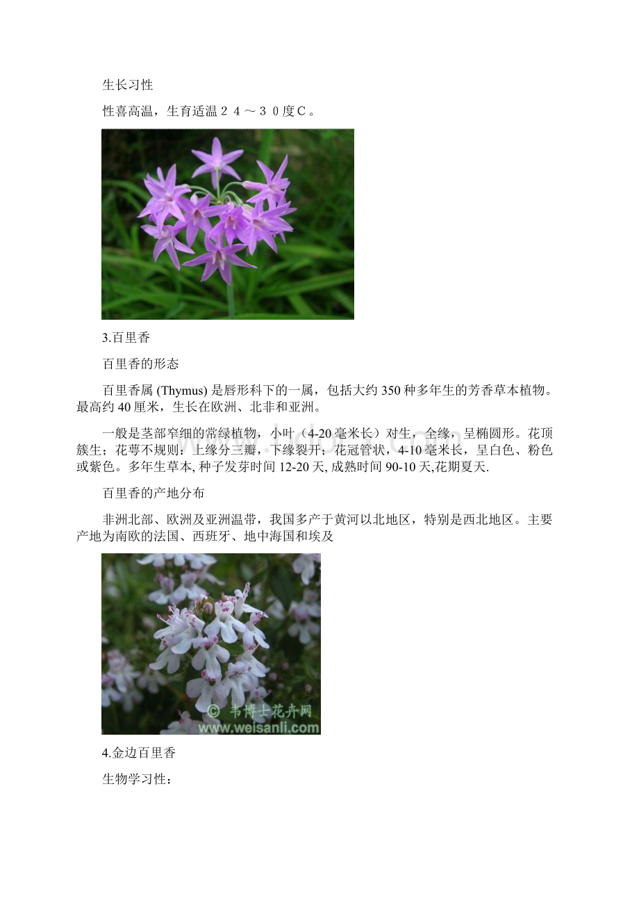 90种花境植物.docx_第2页