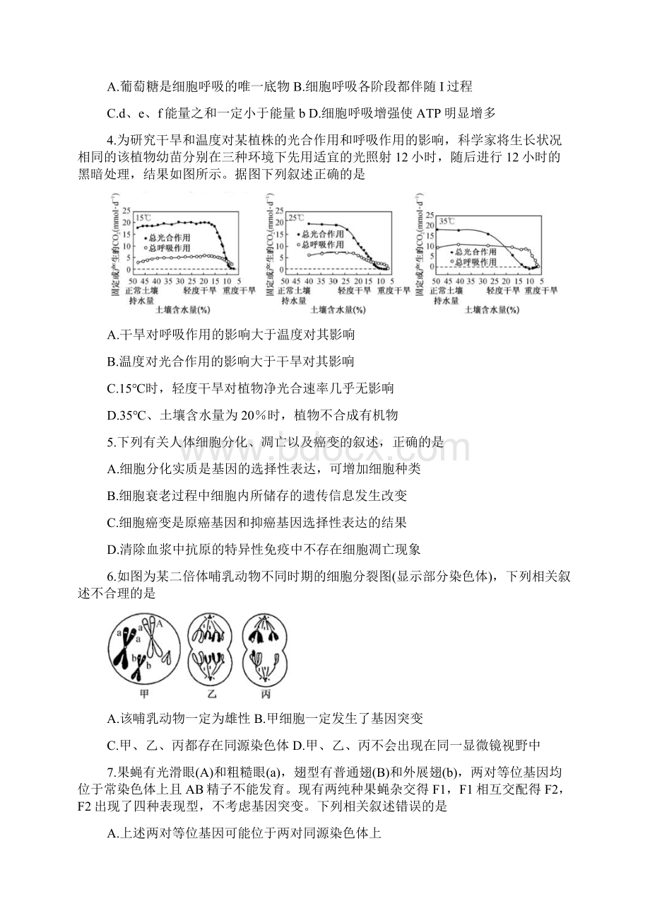 吉林省长春六中八中十一中等省重点中学届高三联考试题 生物Word文档下载推荐.docx_第2页