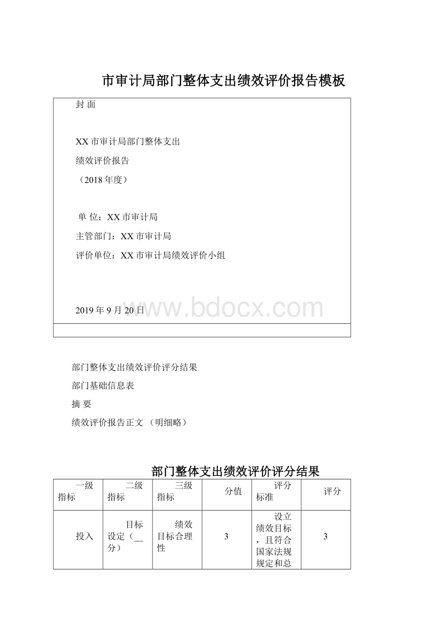 市审计局部门整体支出绩效评价报告模板Word文档下载推荐.docx