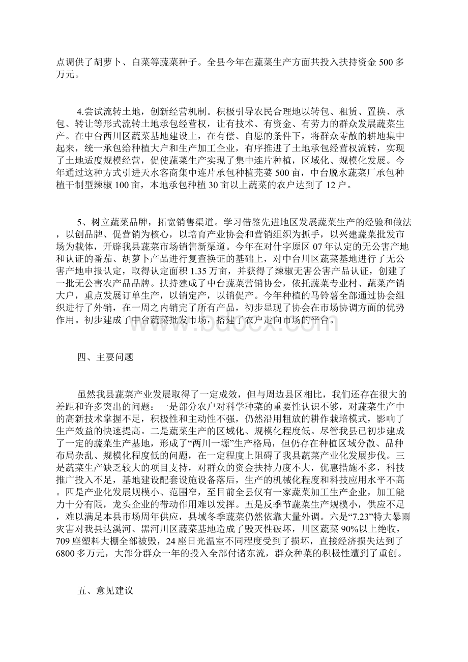 关于对我县蔬菜产业发展情况的调研报告.docx_第3页