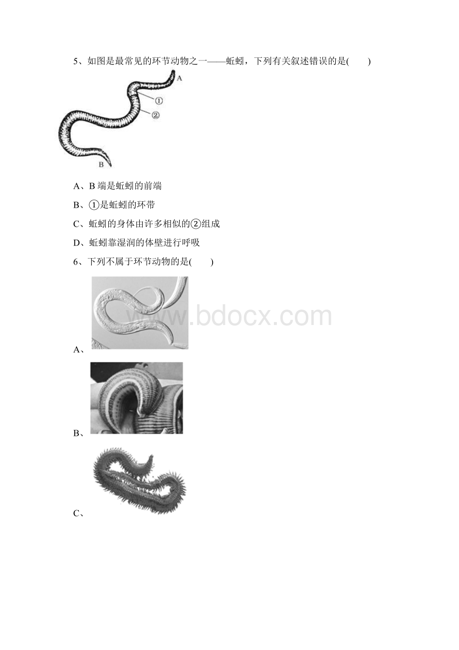 人教版八年级生物上册512线形动物和环节动物同步练习含答案.docx_第2页