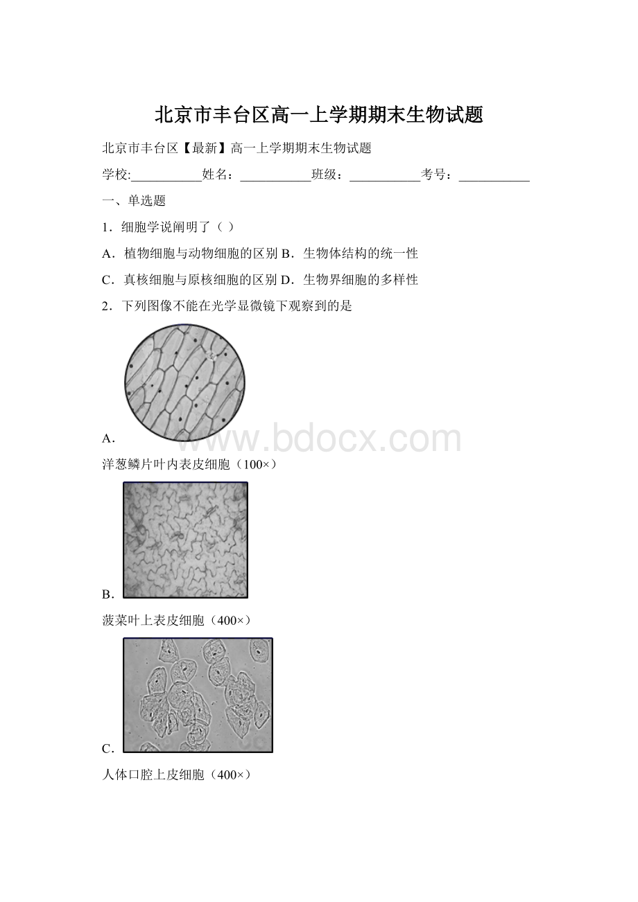 北京市丰台区高一上学期期末生物试题.docx_第1页